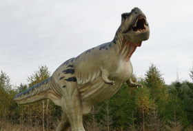 Misterio resuelto: cómo usaban los 'Tyrannosaurus rex' sus extremidades superiores