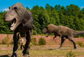Descubren un fósil que cambia la historia de los mamíferos