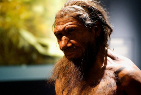 La herencia sexual que nos dejaron los neandertales