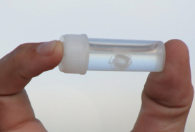 Más de una veintena de afectados por picaduras de medusas venenosas en Australia