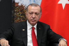     Erdogan:     Gobierno de EEUU no tiene postura única sobre la retirada militar de Siria