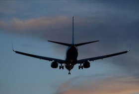 El avión aterriza de emergencia porque una pasajera olvidó a su bebé en el aeropuerto