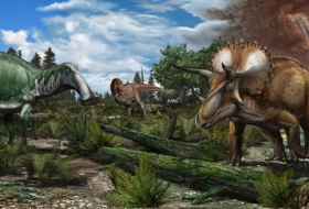 Nada estaba matando a los dinosaurios antes del meteorito
