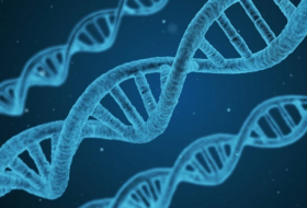 Desarrollan una prueba de ADN para distinguir a gemelos idénticos que ayudaría en investigaciones criminales