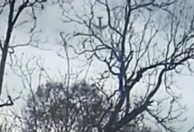     VIDEO  : Publican imágenes de la caída boca abajo del avión de carga Boeing 767 en Texas  