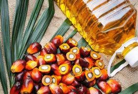   Aceite de palma:   propiedades, beneficios y valor nutricional