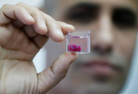   Científicos israelíes imprimen en 3D un corazón hecho con tejido humano  