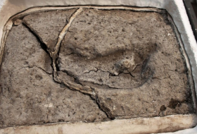 Descubren en Chile la que sería hasta el momento la huella humana más antigua en América
