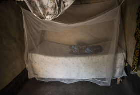 ¿Por qué la malaria está nuevamente en aumento?