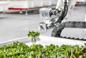 Ya están aquí las primeras lechugas cultivadas por robots granjeros