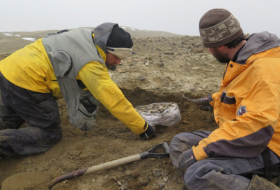   FOTO:   Argentinos descubren en la Antártida los restos de un gigantesco dinosaurio marino de más de 11 metros y 10 toneladas