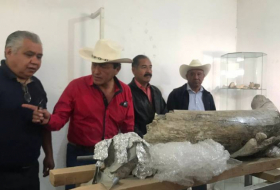   VIDEO:   Descubren en México los fósiles de un mamut de más de 10.000 años