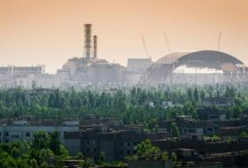   Chernóbil:   ¿por qué las plantas no murieron de cáncer?