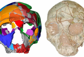 Identifican los restos de 'Homo sapiens' más antiguos fuera de África