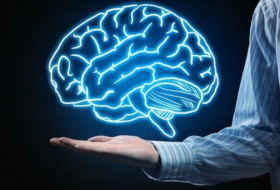 ¿Cómo son los cerebros de personas con excelente cultura general?