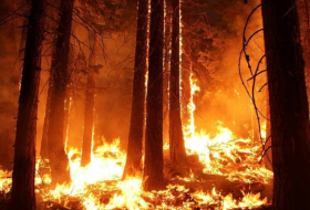  Así avanza el fuego durante los devastadores incendios forestales de la Amazonia y Bolivia- Sin Comentarios  