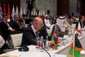   Ministro de Energía de Azerbaiyán participa en la 8ª reunión de Ministros de Energía de Asia  
