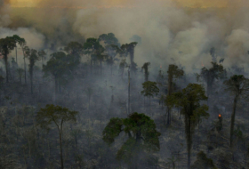 La Amazonía brasileña sigue en llamas mientras que la paz llega a Bolivia y a Paraguay
