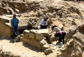 Hallan en Perú los restos de un perro de hace más de 1.000 años