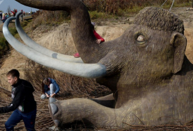 Hallan en México la primera trampa de mamut en el mundo