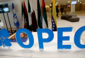 La OPEP, interesada en que Brasil se una a la organización