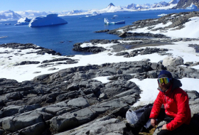 El cambio climático y la actividad humana facilitan la llegada de especies invasoras a la Antártida