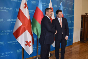   Ministro de Defensa se reúne con presidente del Parlamento georgiano -   FOTO    