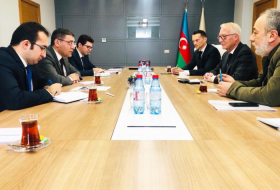   Azerbaiyán y Alemania discuten la creación de una empresa conjunta  
