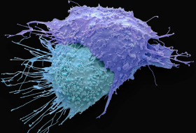 El mayor estudio genómico del cáncer abre la posibilidad de detectarlo antes de que aparezca