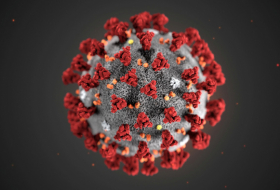 Coronavirus e influenza: ¿Qué tienen en común y cuál debería preocuparnos más?