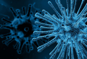Descubren el 'talón de Aquiles' de los virus que podría abrir el camino a una vacuna universal contra las infecciones