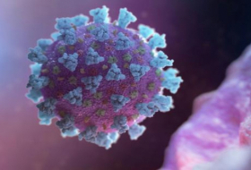 Todas las dudas sobre el coronavirus resueltas en el mayor estudio sobre la epidemia