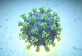 Revelan que hay personas infectadas con coronavirus sin síntomas que pueden contagiar la enfermedad