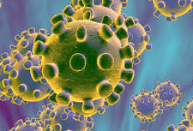 Confirman el segundo caso del coronavirus en Madrid