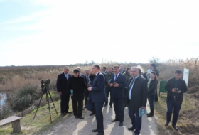   Se desarrollará el turismo relacionado con la observación de aves en Azerbaiyán  