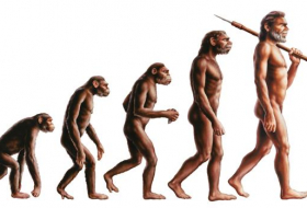 Por qué la clásica ilustración de la evolución del mono al hombre está totalmente equivocada
