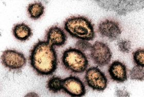 Encuentran en qué etapa el coronavirus puede ser más infeccioso