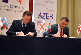   AZEBI llevará a cabo proyectos conjuntos con el Consejo Empresarial UE-Georgia  