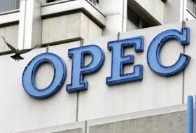   Analistas pronostican que la producción de petróleo de la OPEP + caerá en 750,000 barriles  