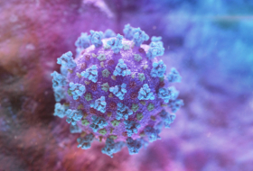 Un virólogo explica qué es lo que hace que el coronavirus sea tan mortal