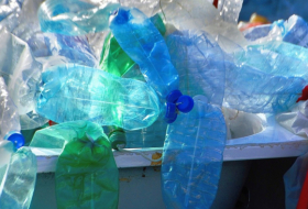 Hallan una enzima capaz de reciclar botellas de plástico para hacer nuevas botellas