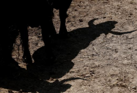 La sombra de la crisis se alarga en el mundo del toro con la suspensión de San Fermín 2020