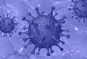 ¿Por qué unas personas son más susceptibles al coronavirus?