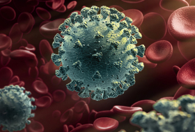   Una nueva mutación del coronavirus lo hace más infeccioso pero menos patógeno, según un nuevo estudio    