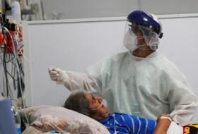 Argentina inicia ensayos clínicos para evaluar el suero equino en pacientes con coronavirus