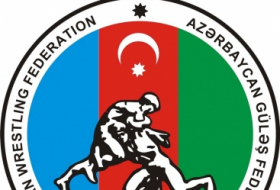   Federación de Lucha Libre de Azerbaiyán celebra una videoconferencia  