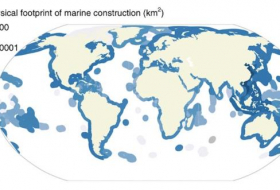 Las construcciones humanas han modificado 30.000 kilómetros cuadrados de océanos