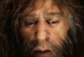 Revelan la variedad de alimentos que consumían los neandertales