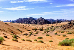 Huellas de hace 120.000 años halladas en Arabia Saudita dan una pista