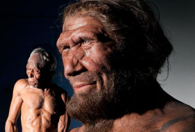 El cromosoma Y muestra que neandertales y sapiens ya se aparearon hace 300.000 años